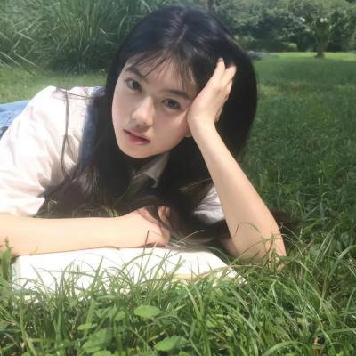 加州圣诞:旧金山的灯光